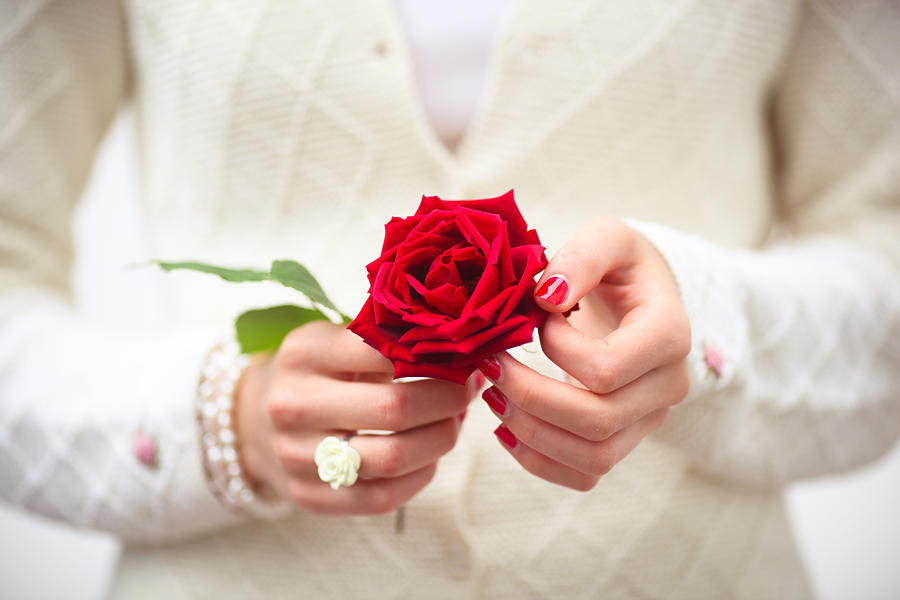 Female Hands Holding Red Rose. Photograph by Sasha Bell