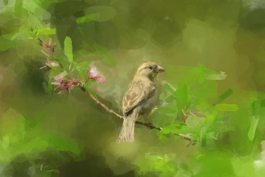 Female House Finch Painting by Gary Arnold