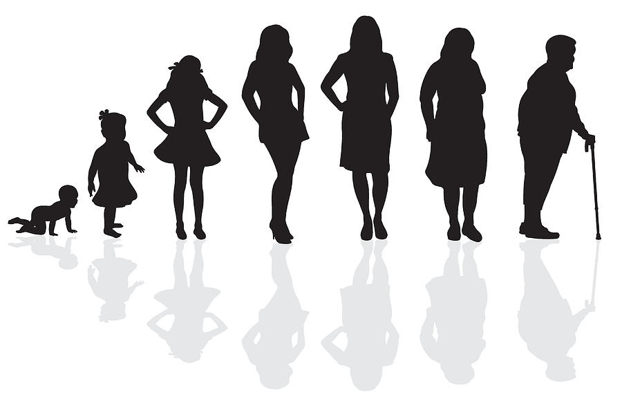 Female Life Cycle Silhouette Drawing by Dondesigns