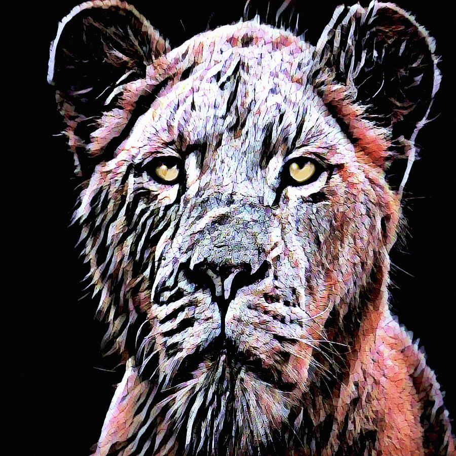 Female Lion Wildlife Portrait  Digital Art by Shelli Fitzpatrick