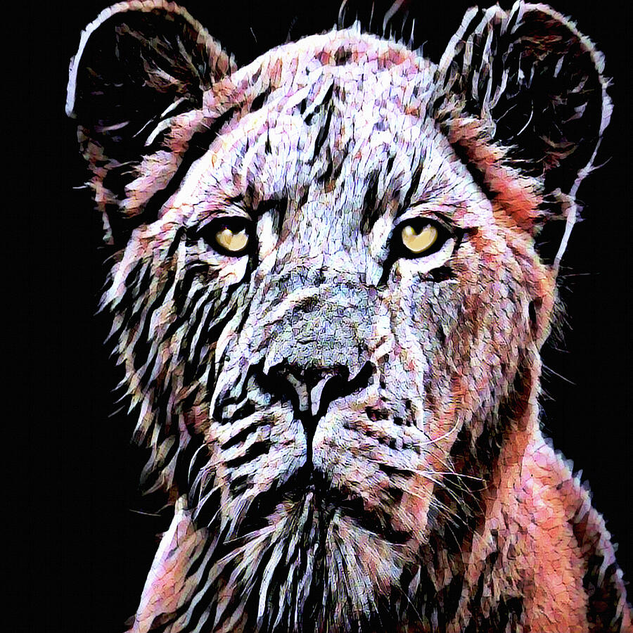 Female Lion Wildlife Portrait  Mixed Media by Shelli Fitzpatrick