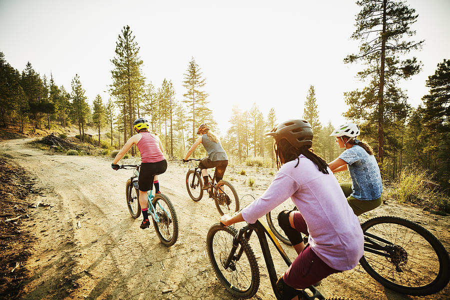 Female mountain bikers riding on forest road on summer evening Photograph by Thomas Barwick