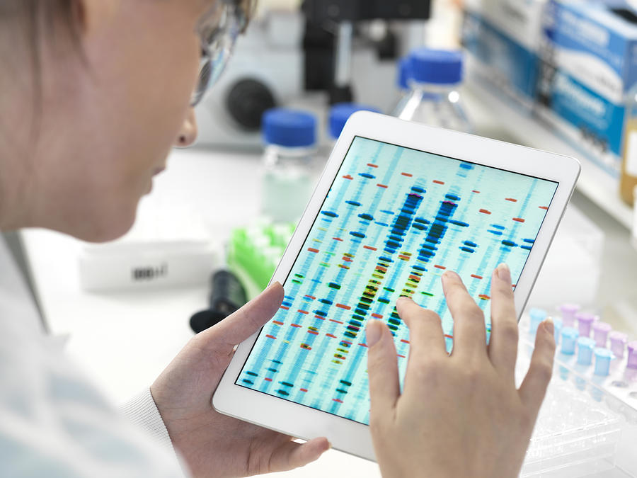 Female scientist examining DNA sequence results on digital tablet in laboratory Photograph by Andrew Brookes