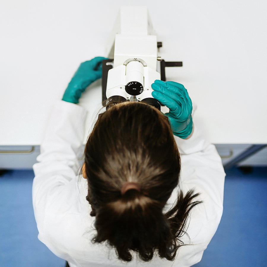 Female Scientist On Microscope Photograph by Tom Werner