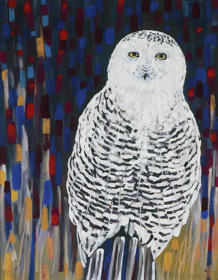 Female Snowy Owl Painting by Phil Chadwick