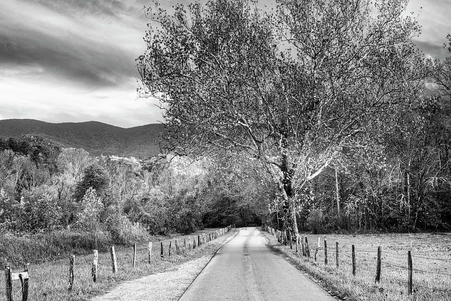 Fence Along Sparks Lane at Cades Cove Black and White Photograph by Debra and Dave Vanderlaan