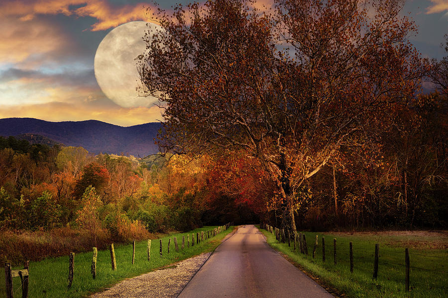 Fence Along Sparks Lane at Cades Cove Full Moon Photograph by Debra and Dave Vanderlaan