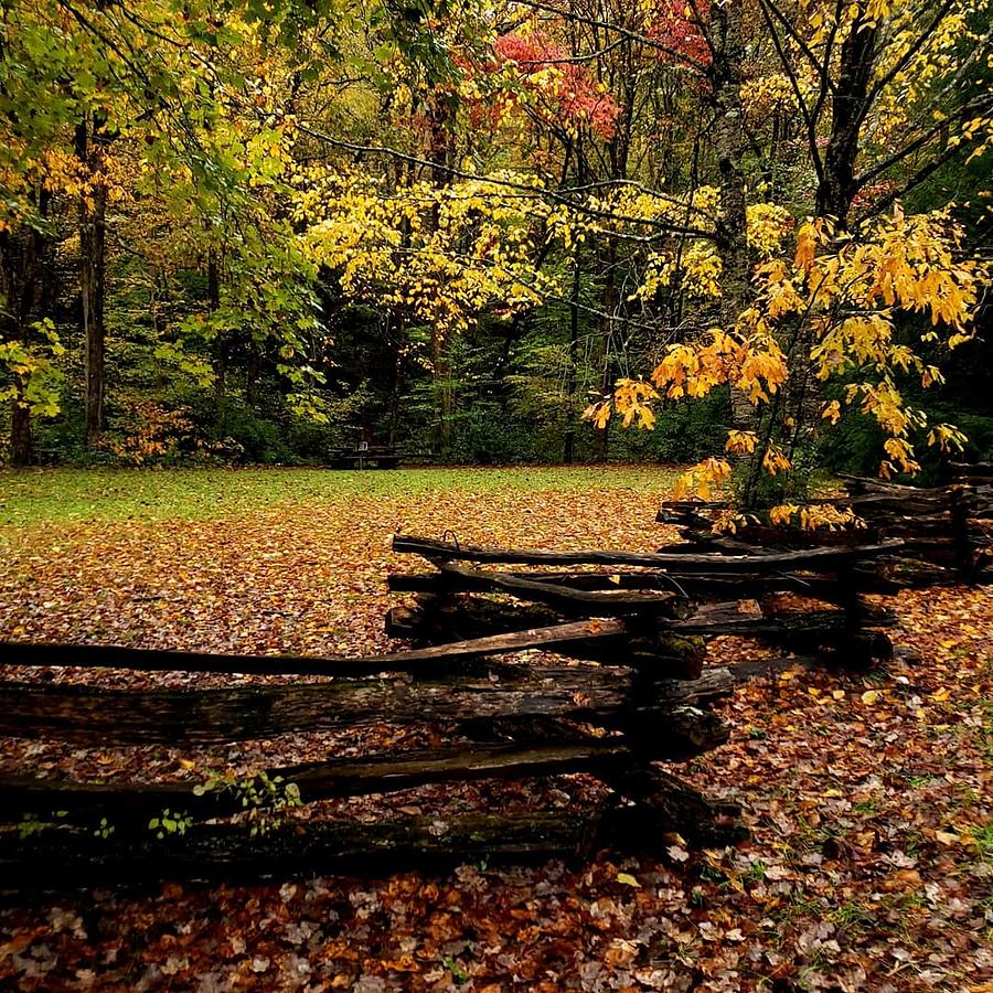 Fence and Fall leaves on the Blue Ridge Parkway Photograph by Alisha ...