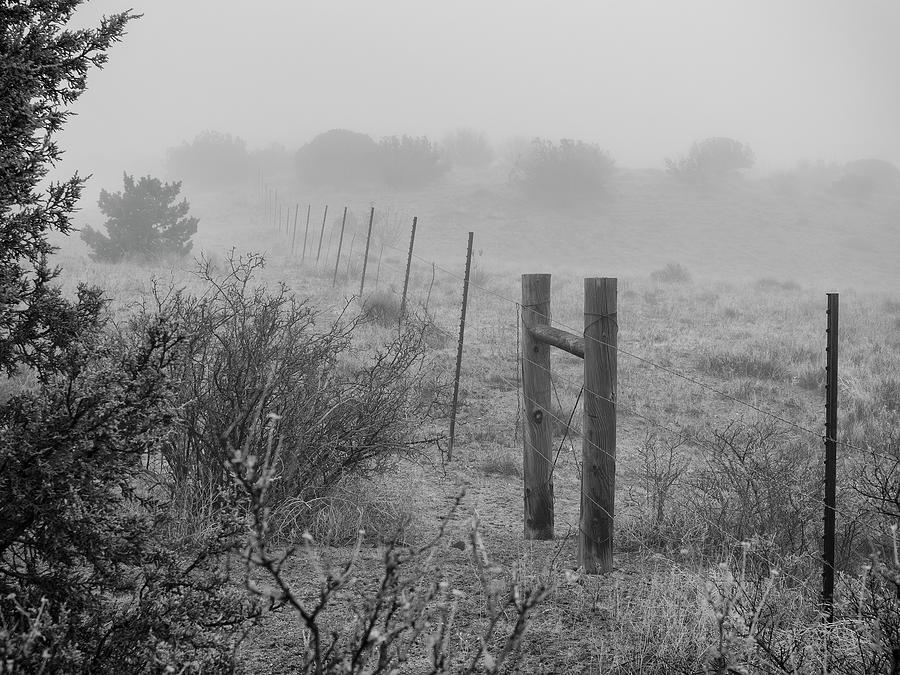 Fence and Fog in New Mexico Photograph by Mary Lee Dereske
