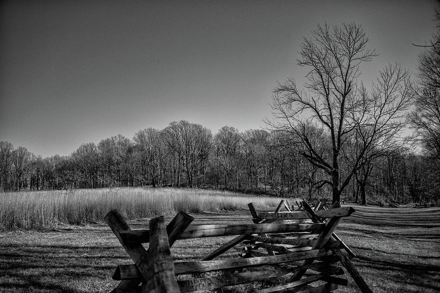 Fence and Tree at Jockey Hollow Photograph by Alan Goldberg