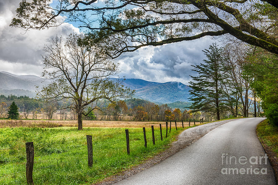Nature Photograph - Fence and Trees in Cades Cove in Smoky Mountains by Jimmy Pappas