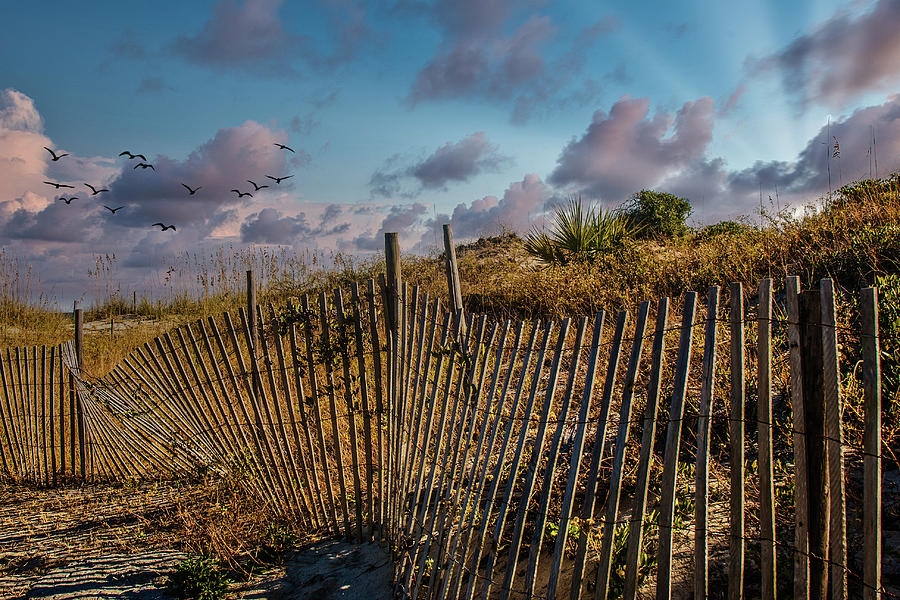 Fence Beside Sunset Beach Photograph by Darryl Brooks