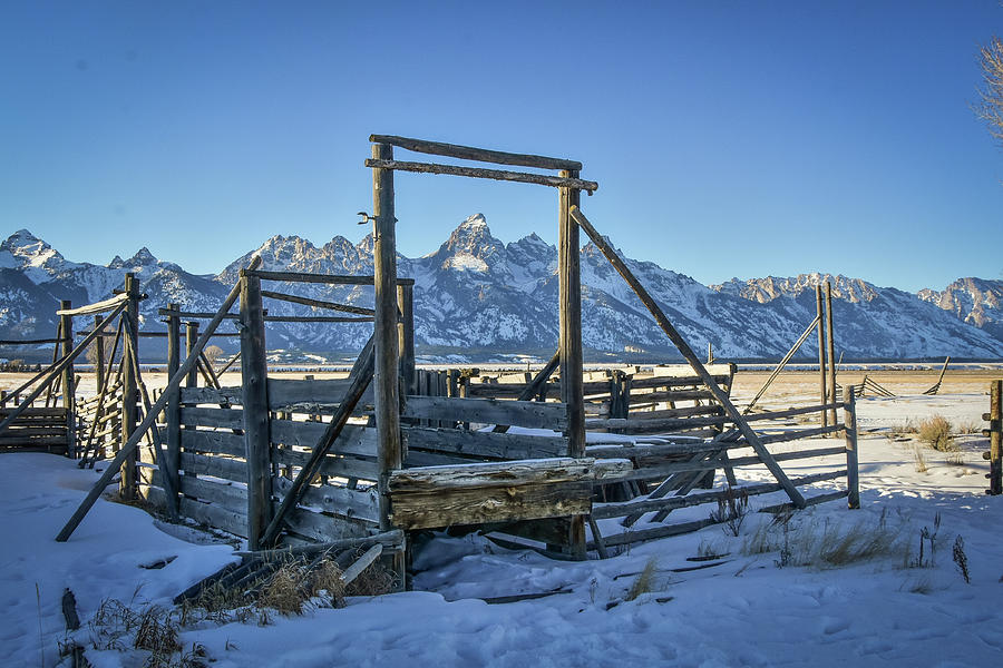 Fence Framing the Tetons Photograph by Ed Stokes
