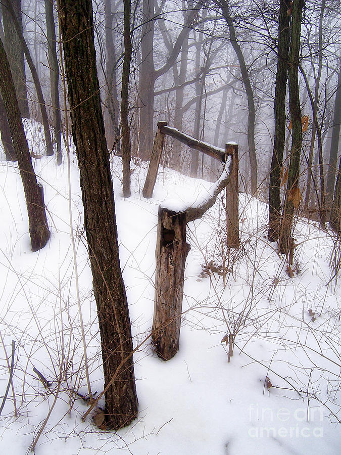 Fence In Forest In Winter Photograph by Phil Perkins