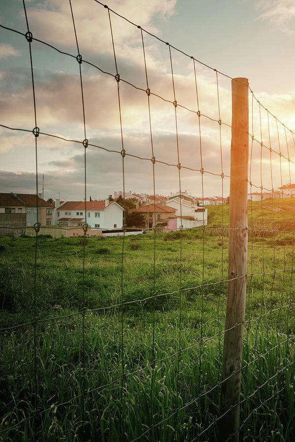 Fence in Rural Landscape Photograph by Carlos Caetano