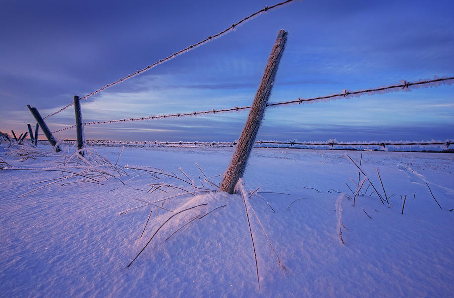 Fence in the Snow Photograph by Dan Jurak