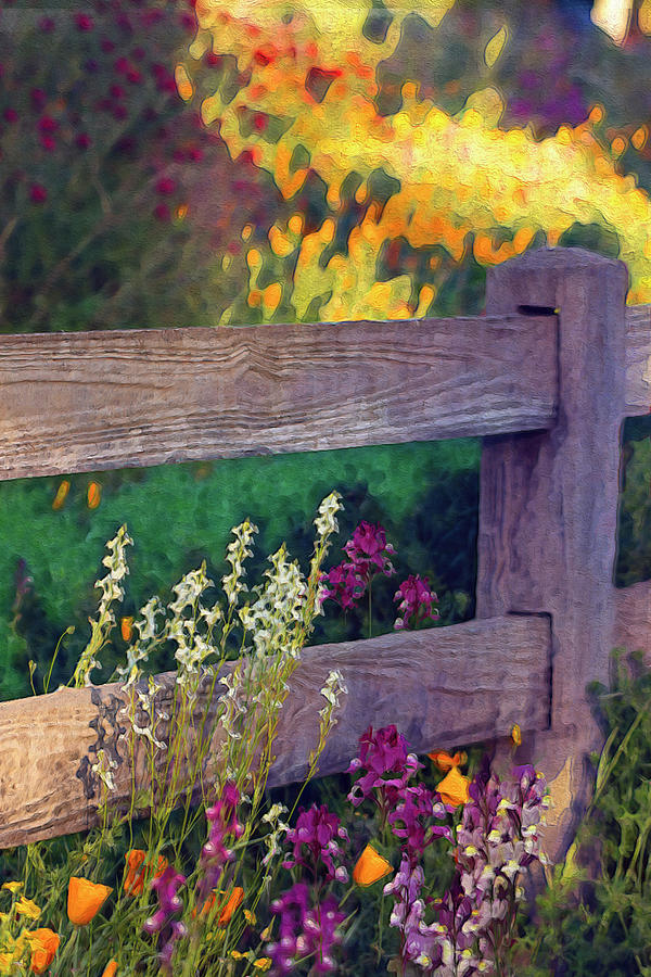 Fence in the Spring Flowers Photograph by Vanessa Thomas
