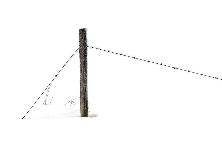 Fence in Winter Photograph by Dan Jurak
