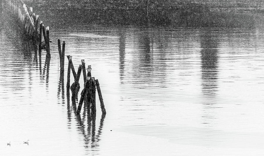 Fence Into Water In Black And White Photograph