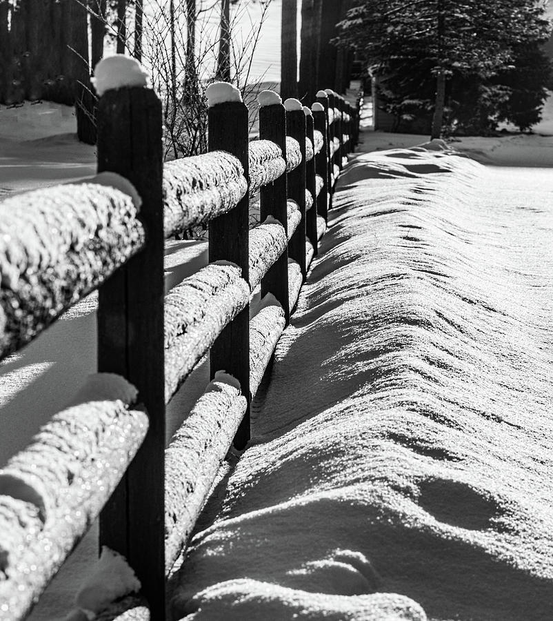 Fence Photograph by Joe Holley