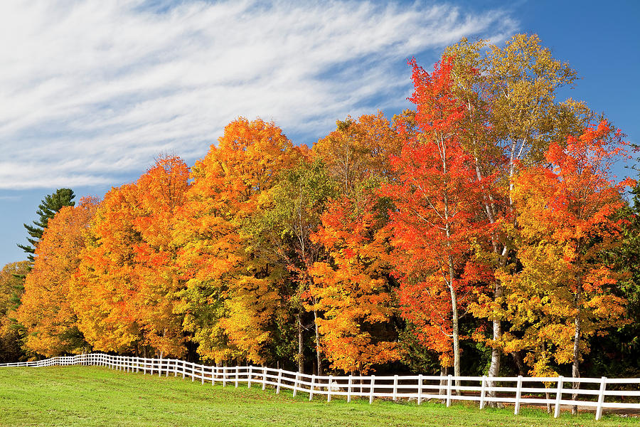 Fence Line Autumn Color Photograph by Alan L Graham