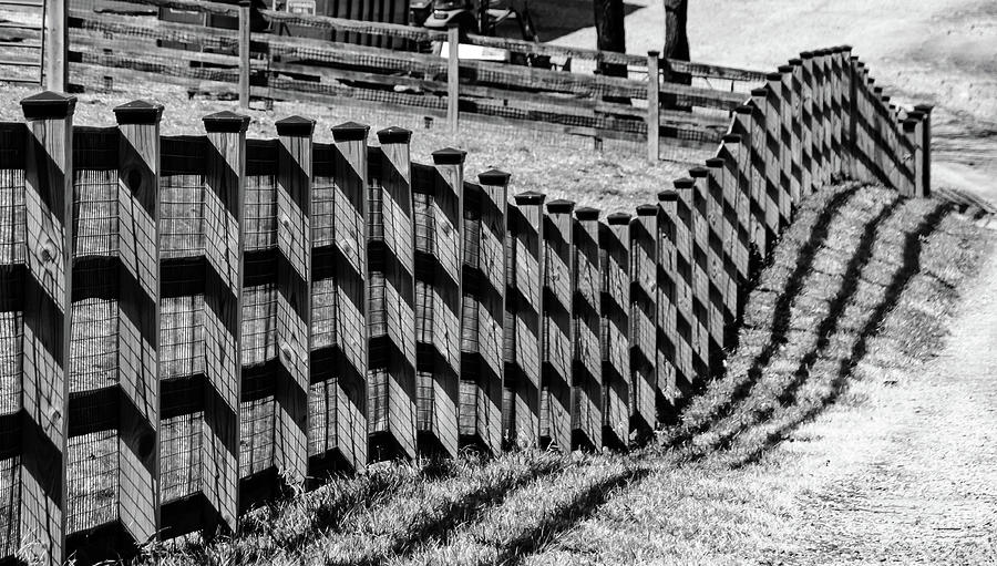 Fence Line Photograph by Kathi Isserman