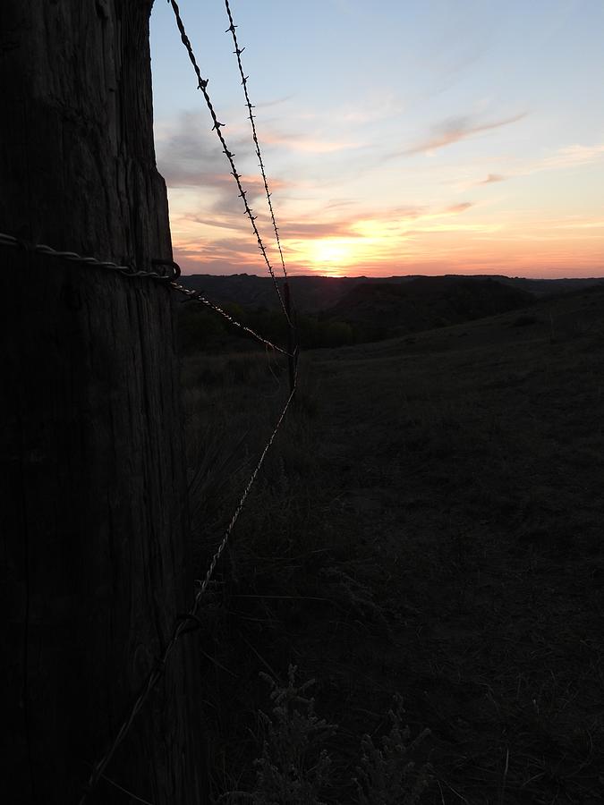 Fence Line Sunset Photograph by Amanda R Wright