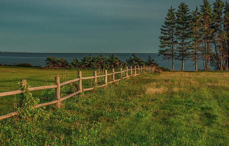 Fence Line To The Sea Photograph by Marcy Wielfaert