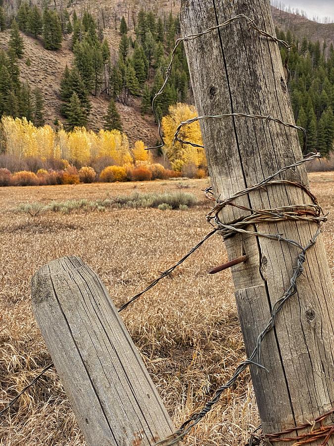 Barbed Wire Mountain Fence Photograph by Jerry Abbott