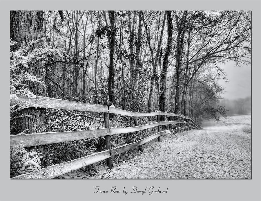 Fence Row Photograph by Sheryl Gerhard | Fine Art America