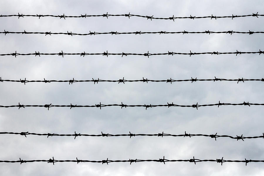 Fence with barbed wire Photograph by Wylius