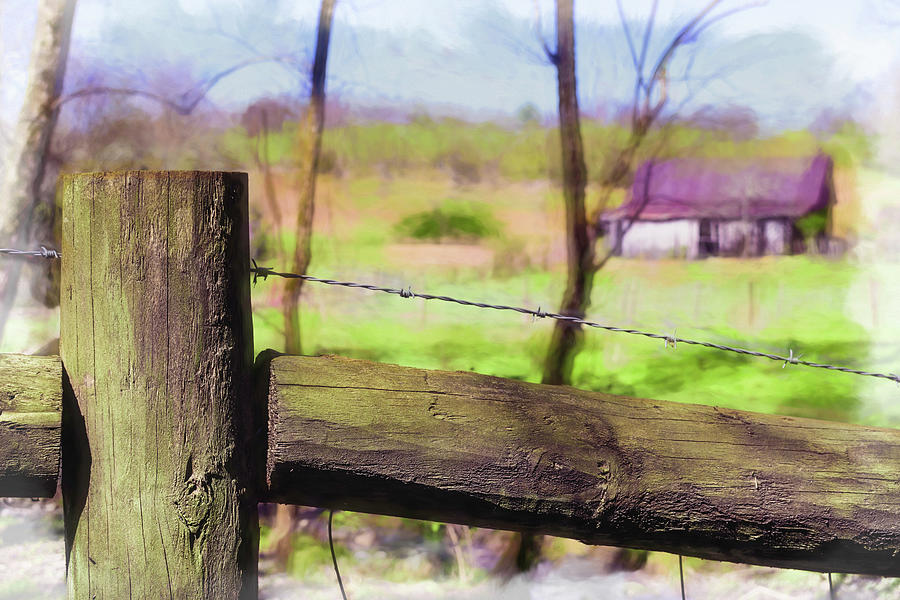 Fenced In 1 Photograph