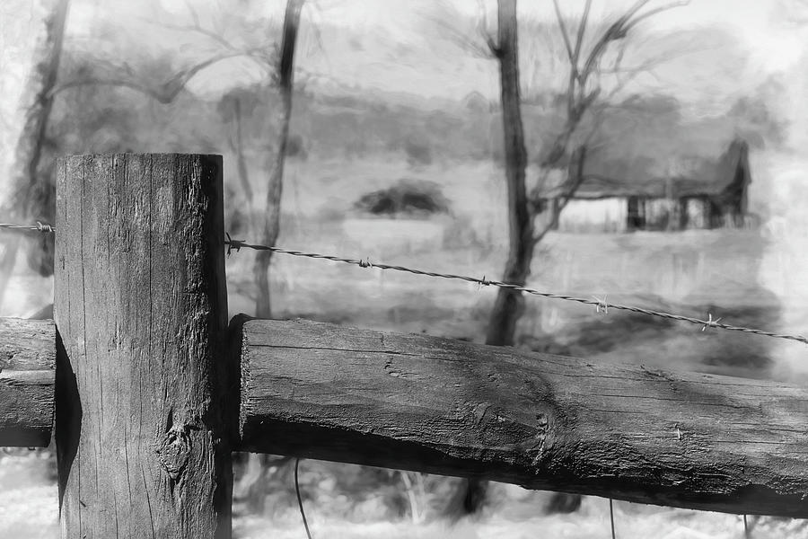 Fenced In 2 Photograph