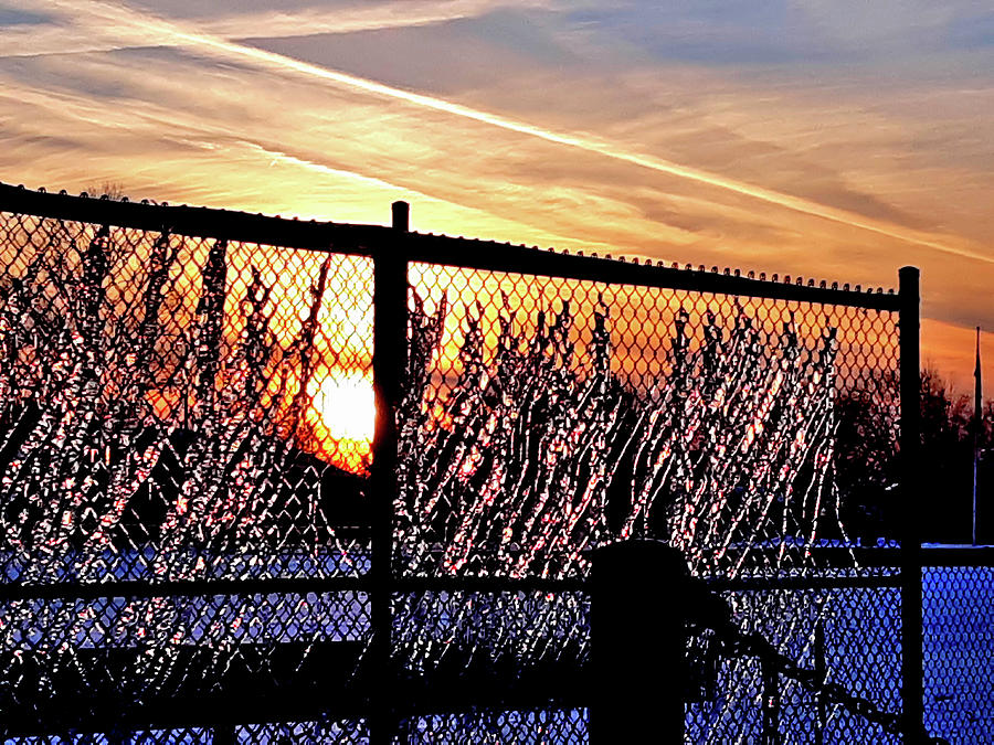 Fenced In Icicles at Sunset Photograph by Linda Stern