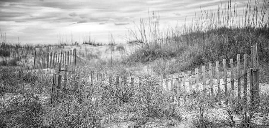Black And White Photograph - Fences in the Dunes at Atlantic Beach NC by Bob Decker
