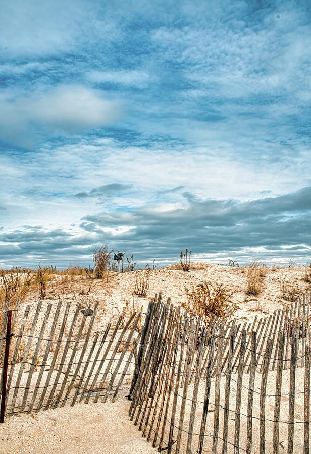 Fences On The Dune At Sandy Hook Photograph by Gary Slawsky