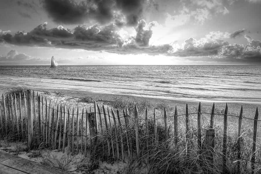 Fences on the Sand Dunes Black and White Photograph by Debra and Dave Vanderlaan