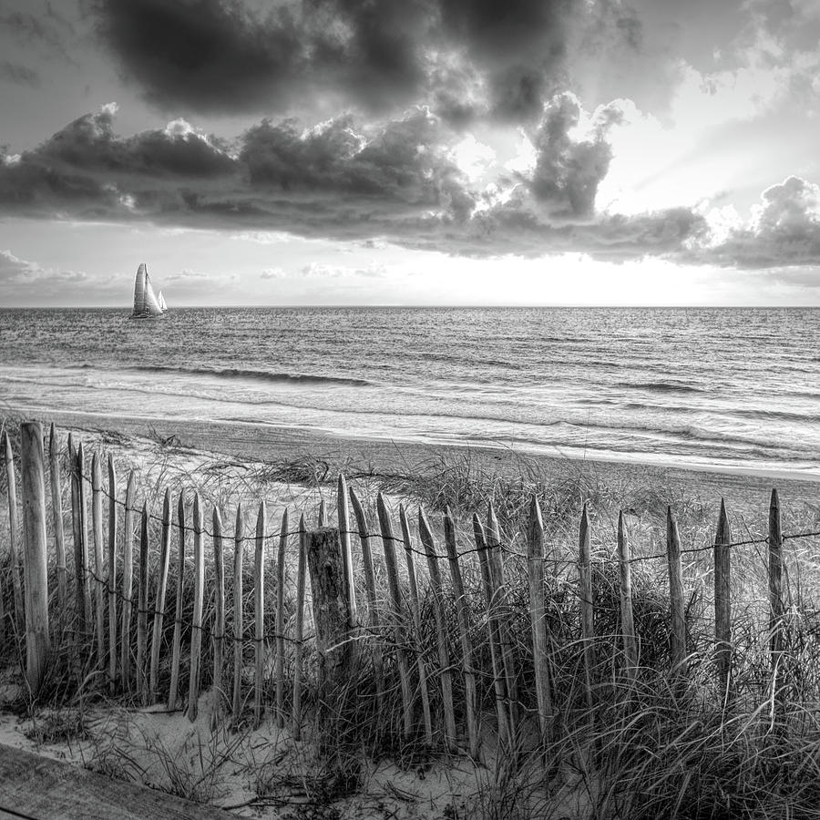 Fences on the Sand Dunes Black and White in Square Photograph by Debra and Dave Vanderlaan