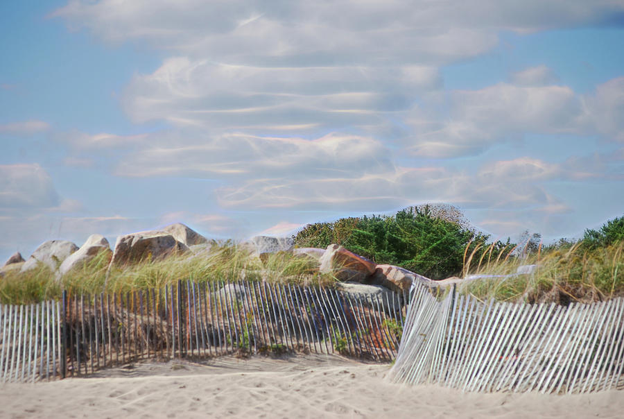 Fences on East Beach in Charlestown Rhode Island Photograph by Cordia Murphy