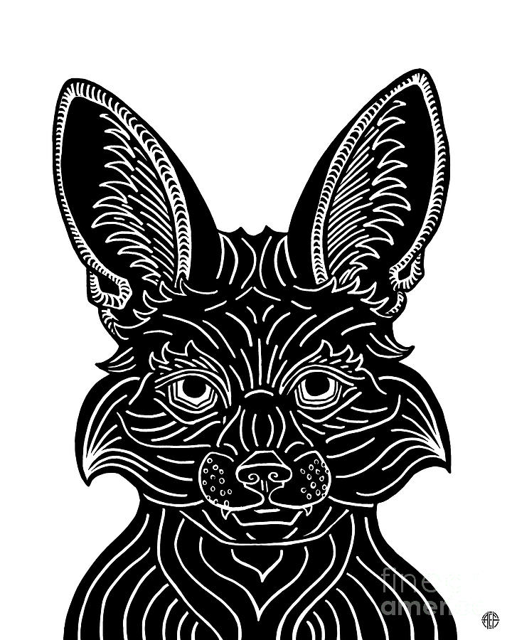 Fennec Fox. Wild Animal Ink 3  Drawing by Amy E Fraser