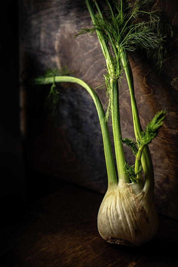 Fennel Photograph by Iris Greenwell