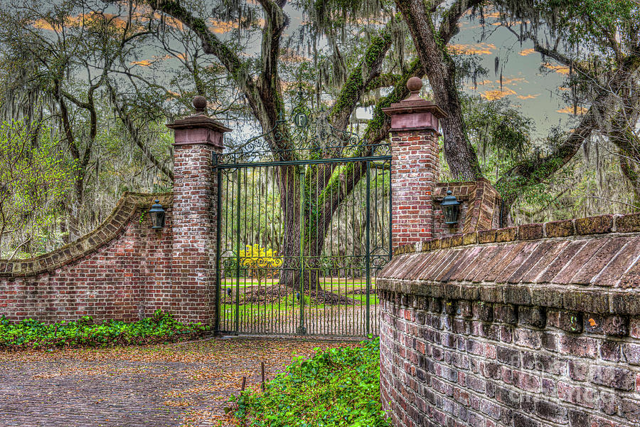 Fenwick Hall Plantation Gates Photograph