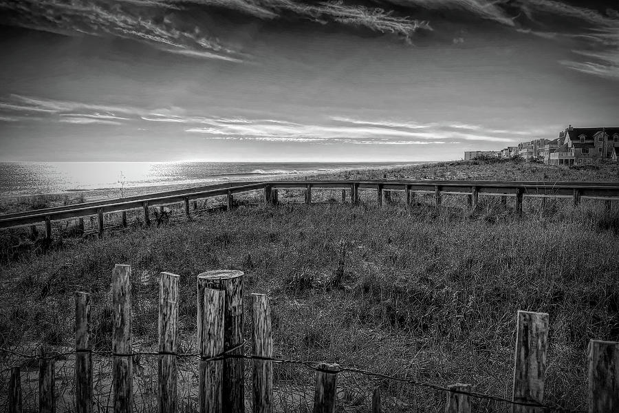 Fenwick Island Beach and Dune Crossing Monochrome Photograph by Bill Swartwout