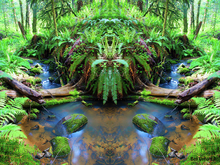 Fern Canyon in Mirrorland 2 with Saturated Color Photograph by Ben Upham III