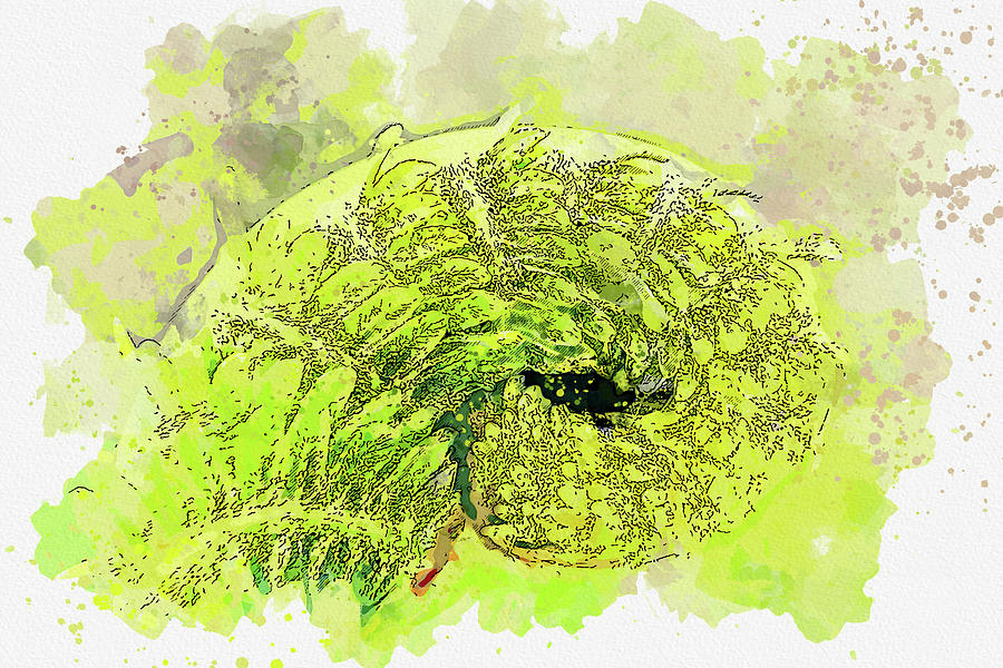 .fern Painting