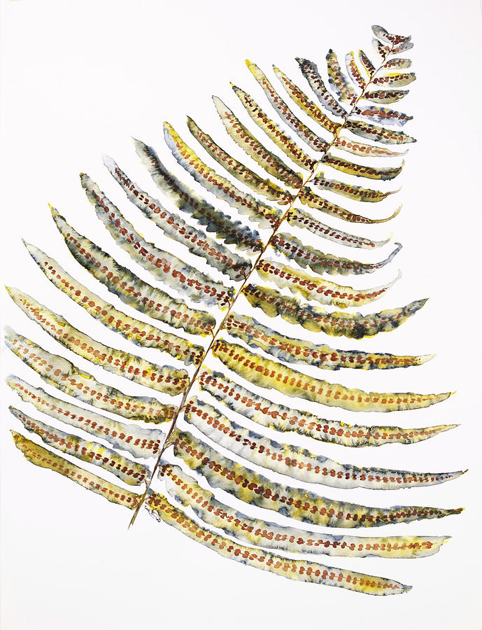 Watercolor Painting - Fern Leaf by Kelly Edwards Watercolor Painting - Fern Leaf by Kelly Edwards