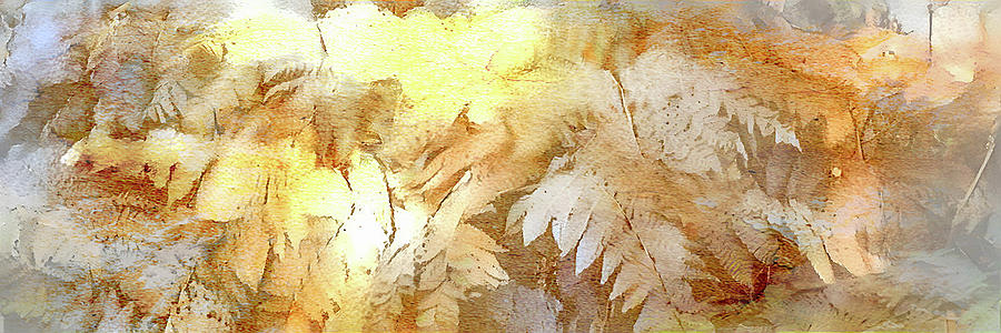 Abstract Photograph - Fernlandia ... by Judy Foote-Belleci