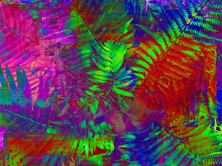 Ferns Surreal Abstract Photograph by Mike McBrayer
