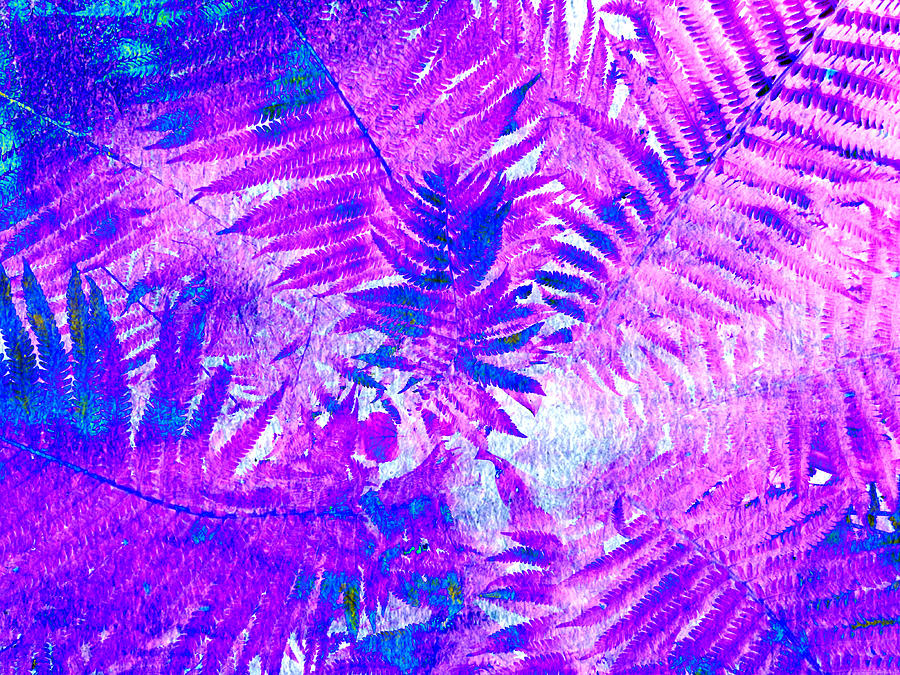 Ferns Surreal Abstract Purple Photograph by Mike McBrayer