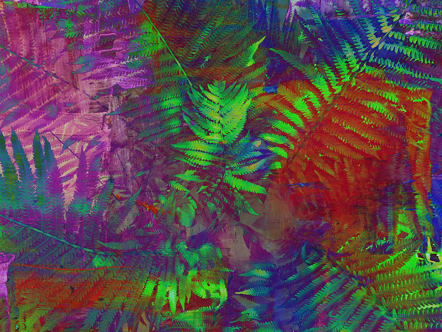 Ferns Surreal Abstract Soft Photograph by Mike McBrayer